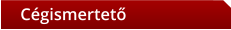 Cégismertető