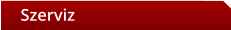 Szerviz